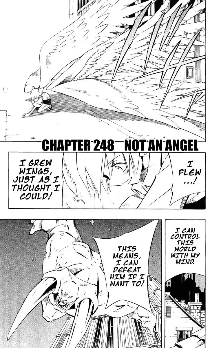 Shaman King Chapter 248 1